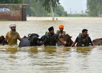 पंजाबमध्ये प्रचंड पूर: 4100 हून अधिक गावे जलमय, 4 कोटी लोक प्रभावित, 56 जणांचा मृत्यू