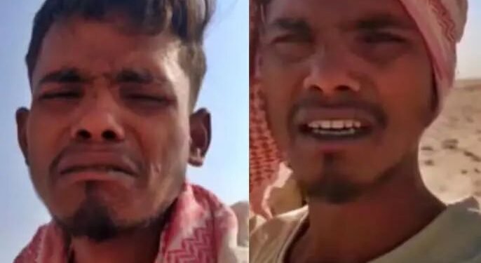 पासपोर्ट जप्त, उंट चरवायला लावलं – भारतीय युवकाची सौदी अरेबियातून मदतीची याचना